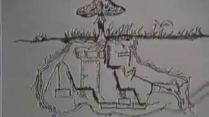 Ленин гриб!!!