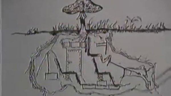 Ленин гриб!!!