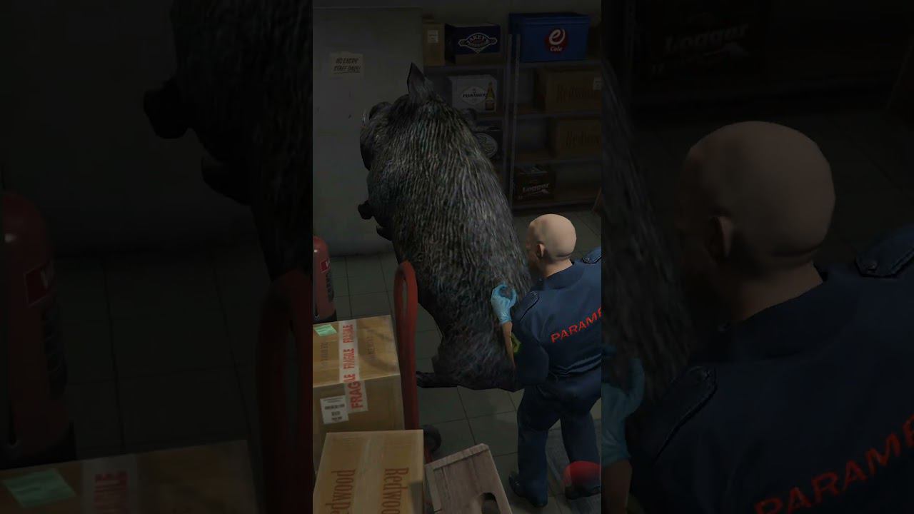 🌵 GTA Online: Алло, кабан. смотреть онлайн