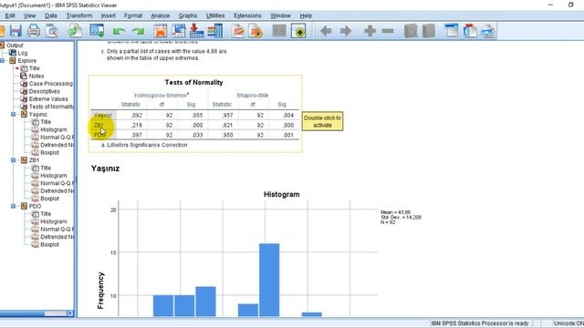 #3 Normallik analizi (Kolmogorov Smirnov, Shapiro-Wilk, Skewness, Kurtosis, Histogram, Detrended) смотреть онлайн