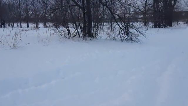 Готовлю гуся с картошкой. Гуляю в теплой компании.?❄??❤ смотреть онлайн