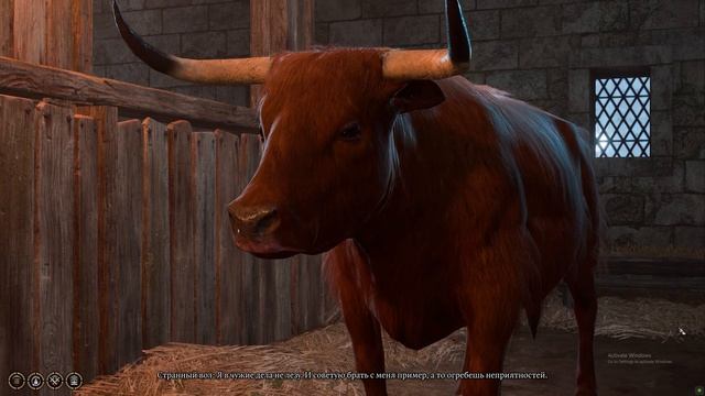 Baldur's Gate 3 Странный вол смотреть онлайн