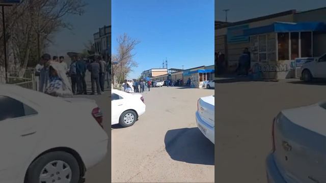 Ташкент Москва автобус 2023 Узбекистан Россия автобус прямой рейс Москва ташкент автобус 2023 смотреть онлайн