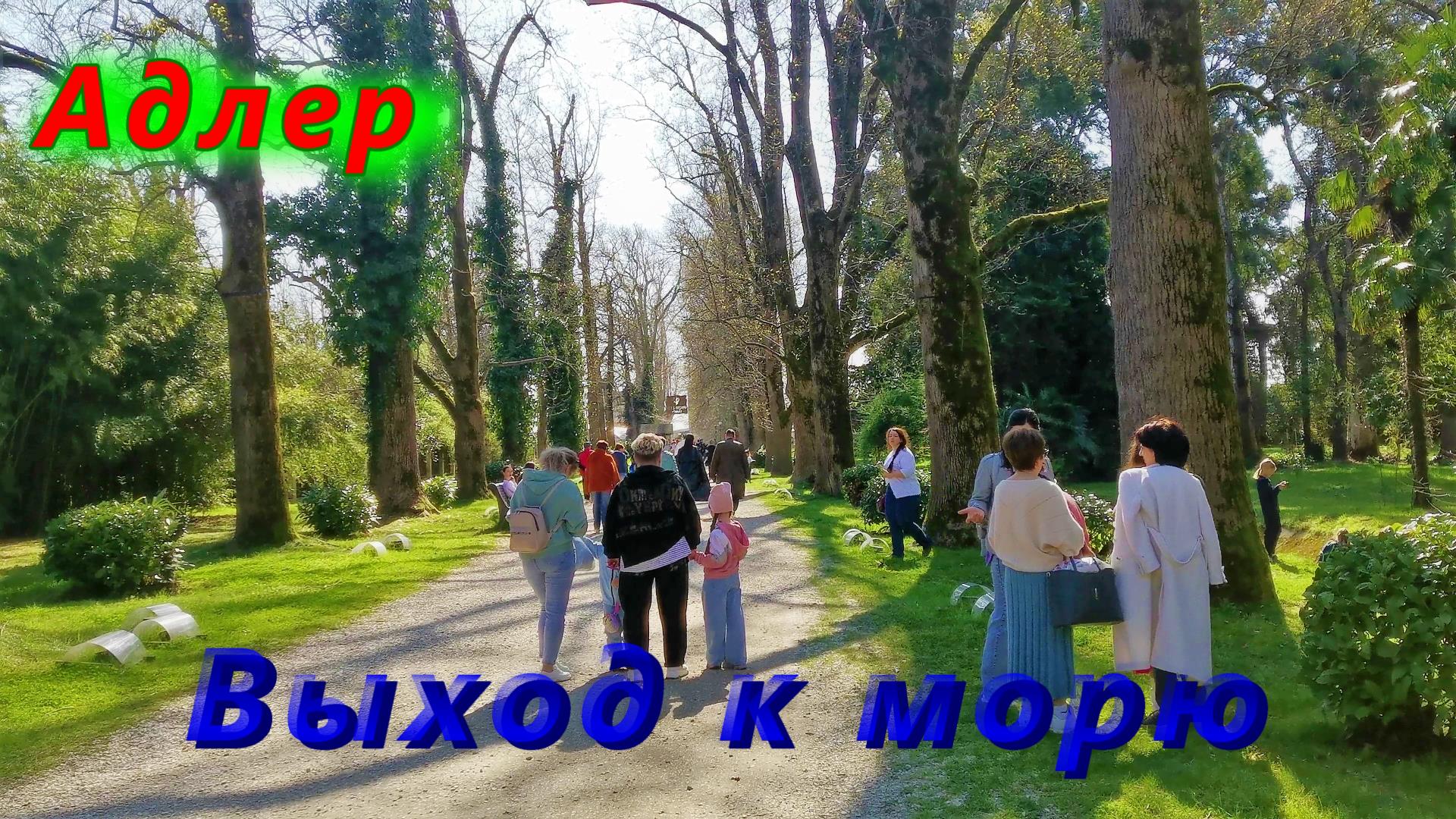 Парк Южные Культуры в Адлере сегодня/ Выход к морю смотреть онлайн
