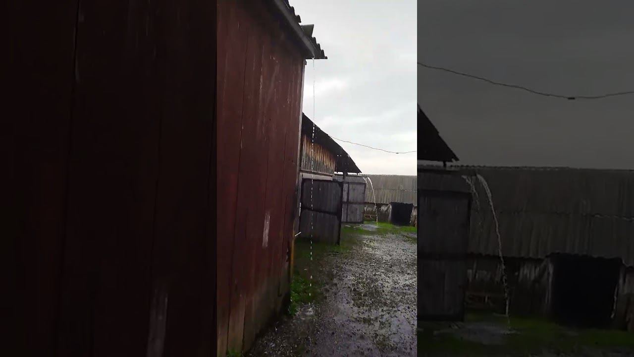 Дожди, уборочная отменяется! . смотреть онлайн