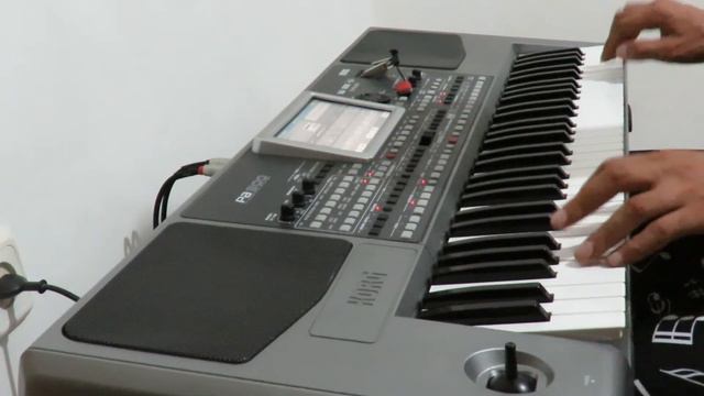 Одинокий пастух - korg pa900 #одинокийпастух смотреть онлайн