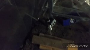 Подготовка помещения для выращивания Вешенки.