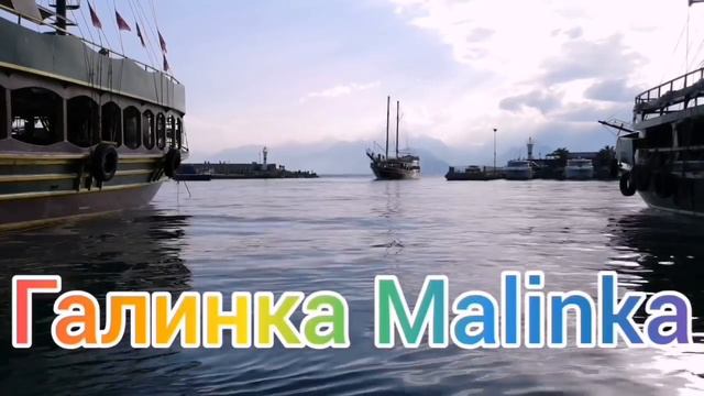 Самвел Адамян /Сытники /Савелий Ад /Скучают по халяве /Ждут подачек/Обзор Влогов /Grandenikovlog /