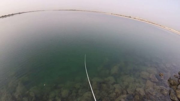 How to play with popper / Duo Realis popper 64