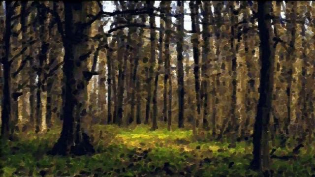 Wilhelm Paul Richter: Suita Nr 2 Carpatica смотреть онлайн