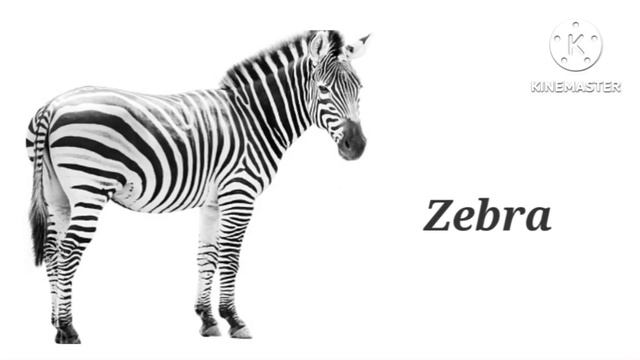 Wild Animals |Forest Animals For Kids |Educational Video |Easy English For Kids |