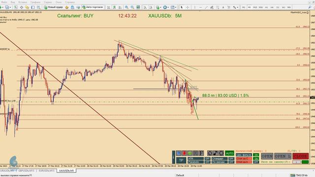 Пример торговли XAUUSD M5 +669$ смотреть онлайн