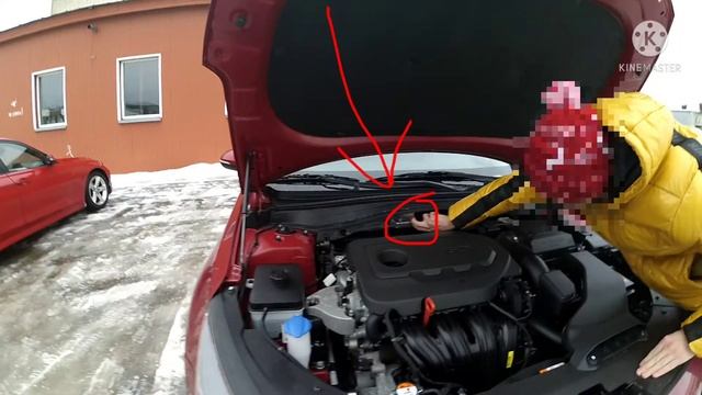 Где VIN Kia Optima смотреть онлайн