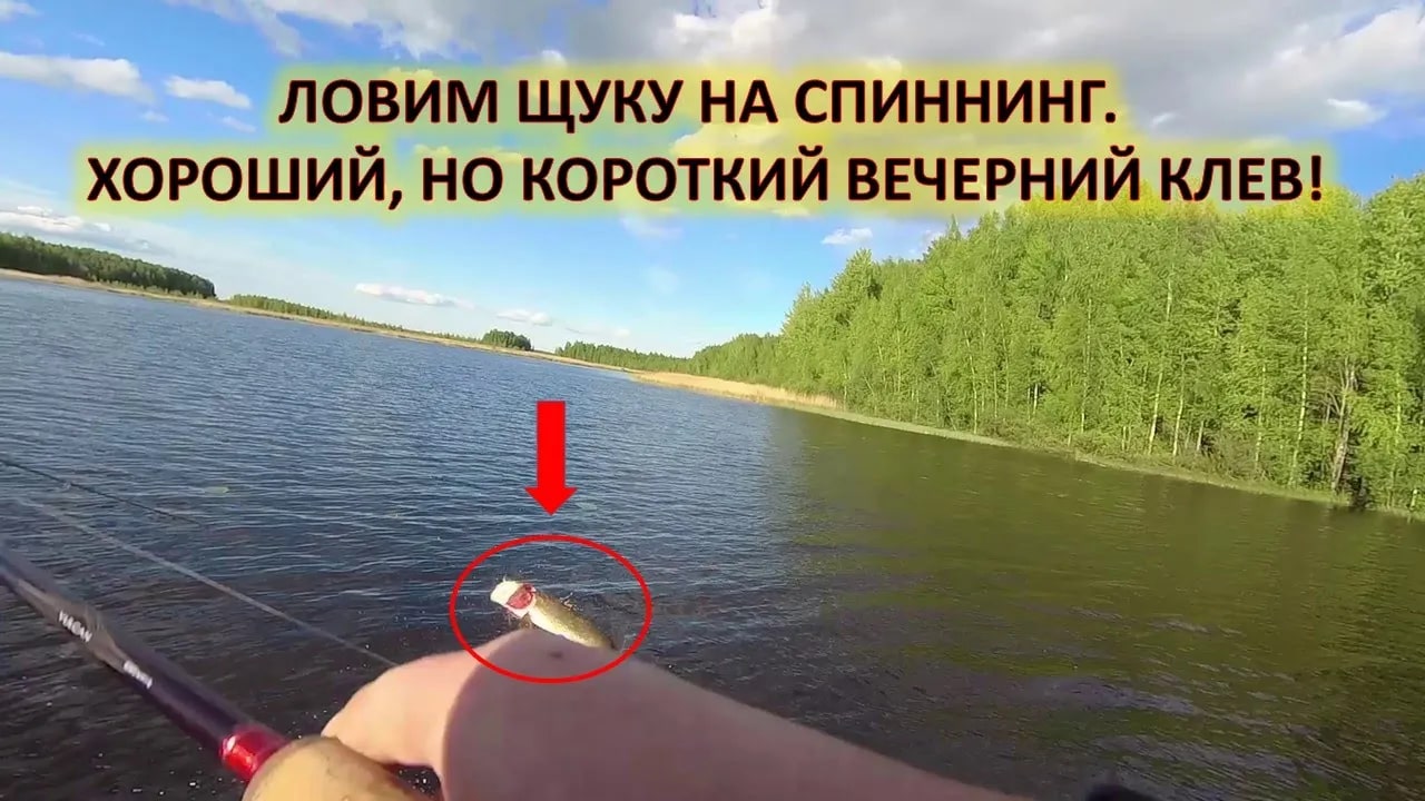 Рыбалка. Ловля щуки летом. Рыбалка на спиннинг. смотреть онлайн