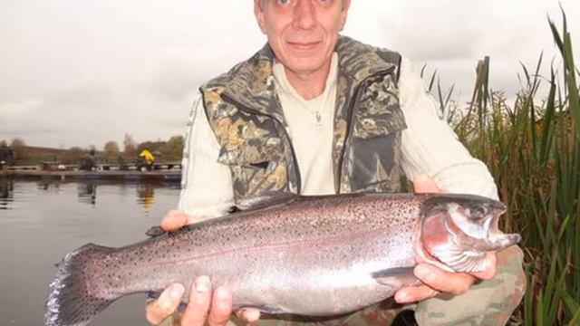 Рыбалка в Савельево 14 октября 2012.avi смотреть онлайн