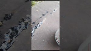 отзывов о битумной мастки, как замазать или залить крышу гаража от протеканий.