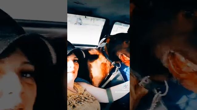 Друг в биде не бросит лишнего не спросит. смотреть онлайн