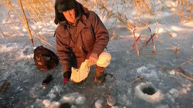 Окунь на червя (Во Лёха, рыбалка!) смотреть онлайн