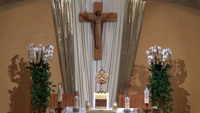 Adoration of the Blessed Sacrament - 05/06/2022, Friday. смотреть онлайн