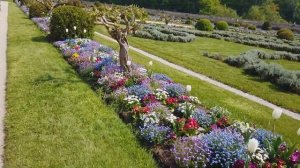 Франция. Замки Луары. Замок Шенонсо (Château de Chenonceau)