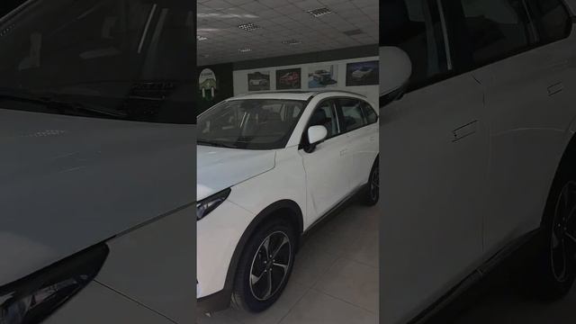 Огляд Weltmeister. Запас ходу та модельний ряд. смотреть онлайн