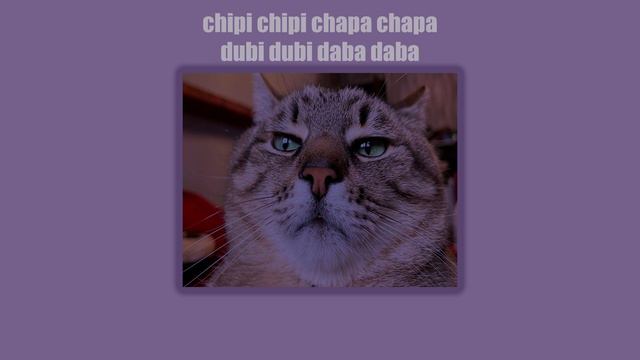 Chipi chipi chapa chapa dubi dubi daba daba (slowed + reverb & TikTok) смотреть онлайн