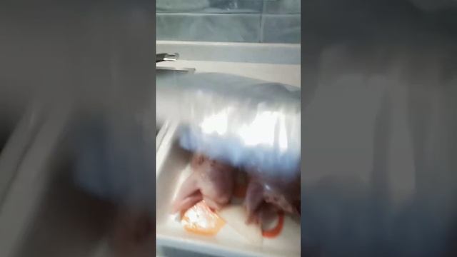 перепелка в духовке смотреть онлайн
