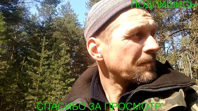 Поездка за Берёзовым соком.