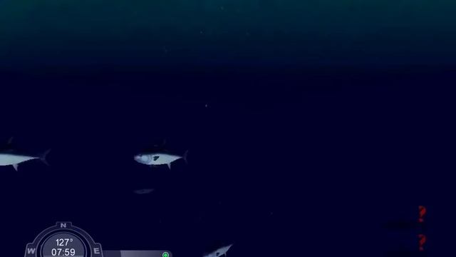 Let's Play Shark! Hunting The Great White Episode 1 смотреть онлайн