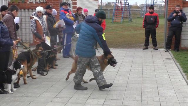 Междусобойчик ОКД+ЗКС 30.09.17. в Новоалтайске. Награждение смотреть онлайн