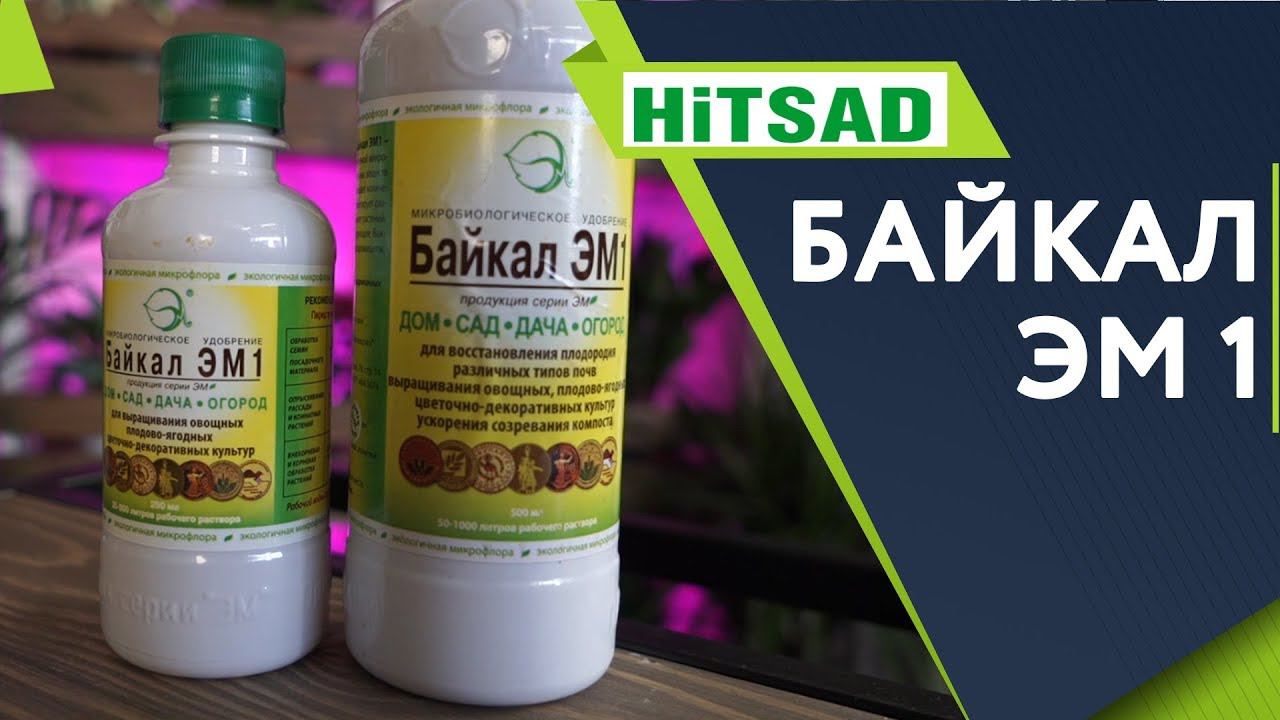 СЕКРЕТ Использования Байкал ЭМ1 ✔️ Лучшее удобрение для Сада ✔️ Советы от Хитсад ТВ смотреть онлайн