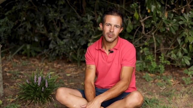 LO SAI PERCHÉ HO PIANTATO UNA LIRIOPE MUSCARI? смотреть онлайн