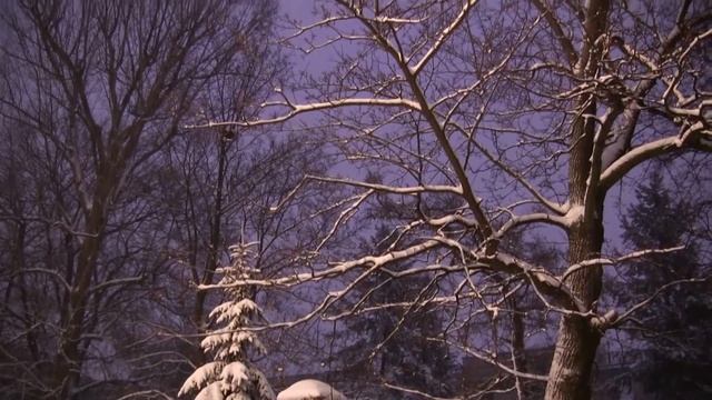 Лодзь Польша - Зима - Мой город вечером смотреть онлайн