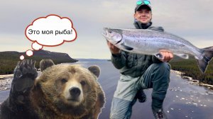 Сёмга 2024 Медведь на рыбалке