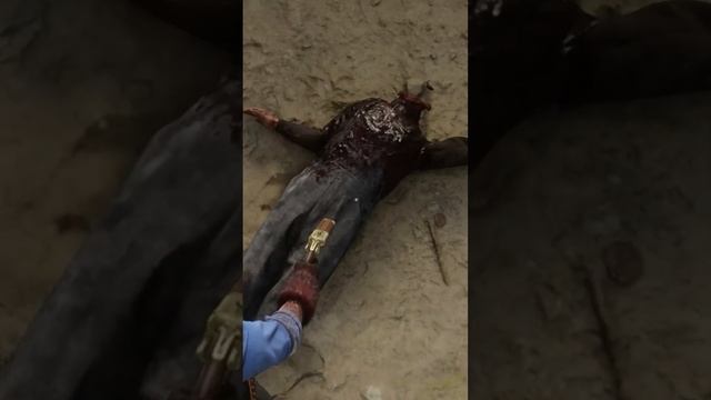 ? Ты точно не знал этого в RDR2 ! ? 2#