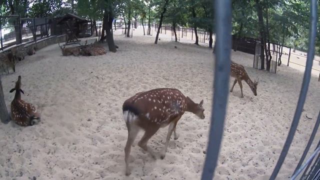 Локальный туризм: Парк Лога - Ростовская область смотреть онлайн