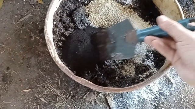 Пересадка взрослого лимона. Готовим почву. Подбираем горшок / Цитрусовый Рай МариАны смотреть онлайн