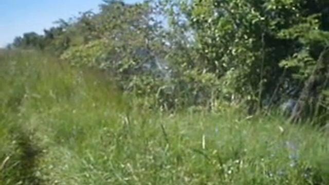 ИЗ ДАЛЕКОГО ДАЛЕКА смотреть онлайн