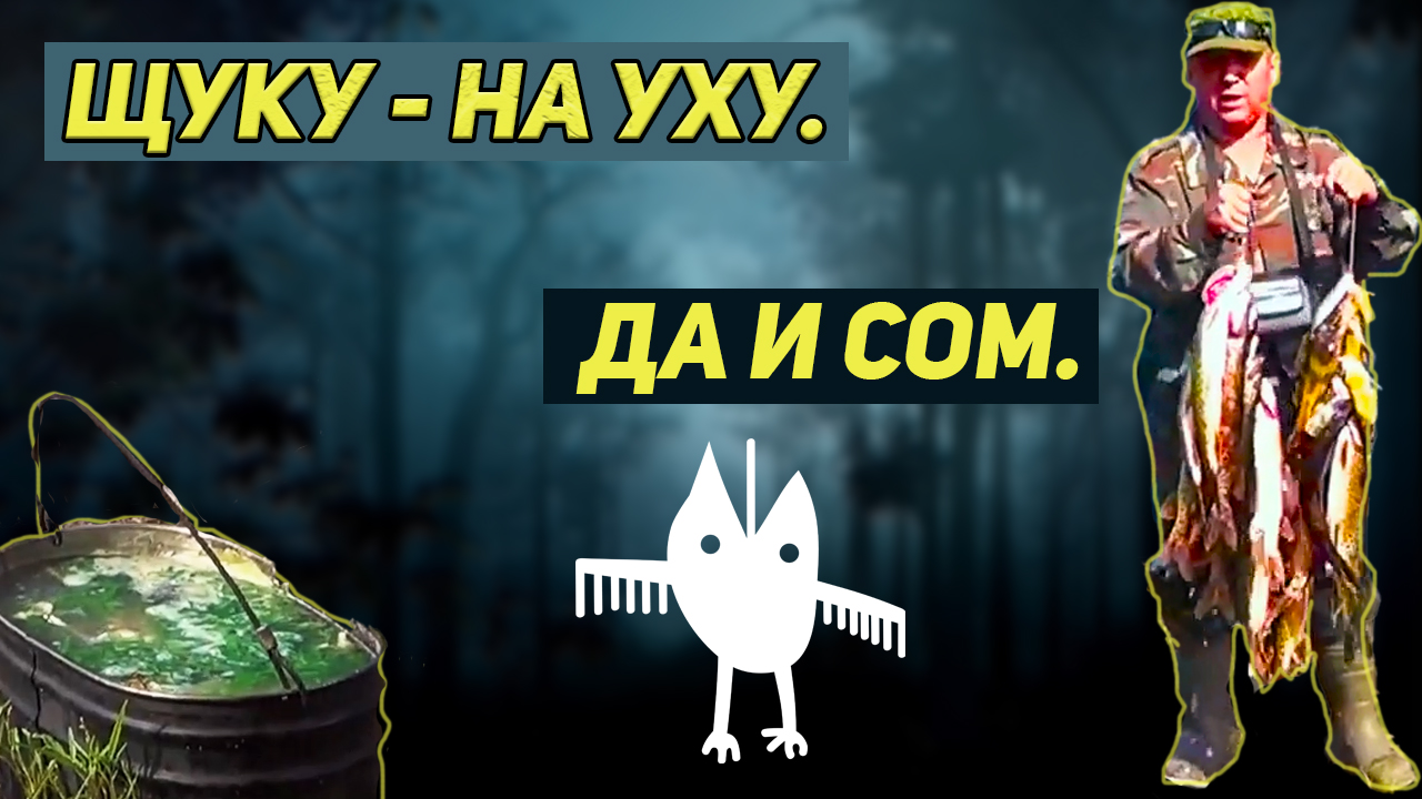Связи нет, зато есть рыба! Ловим щуку НА УХУ, да и сом туда пойдет. смотреть онлайн
