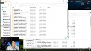 Как установить и загрузить моды в  Transport Fever 2 Пиратка