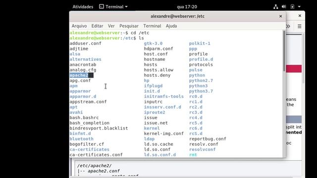 Passo a passo - Debian + Apache + MariaDB + PHP 7.4 #linux #ead #ti смотреть онлайн