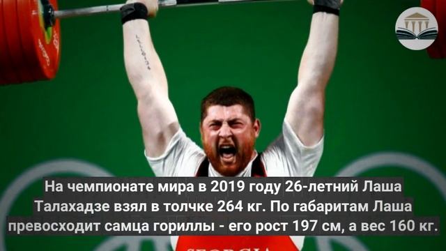 Почему ленивые гориллы сильнее спортсменов штангистов смотреть онлайн