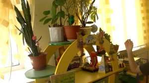 Уход за комнатными растениями. Дистанционное обучение в ДОУ