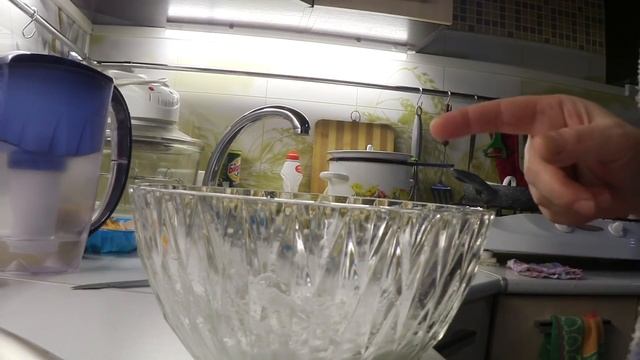 ВЛОГ Приехали на дачу с Женей / Борис пробует морских обитателей :)) 29.12.2017 смотреть онлайн