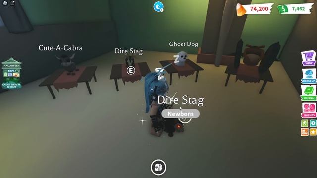 АДОПТ МИ ВТОРАЯ НЕДЕЛЯ ОБНОВЛЕНИЯ HALLOWEEN | НОВЫЕ ПЕТЫ ШОК ТРЕЙДЫ | ADOPT ME ROBLOX смотреть онлайн