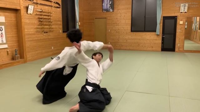 Aikido : Dynamic Smooth Technical - Shirakawa Ryuji shihan смотреть онлайн