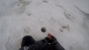 подледная рыбалка в апреле на речке Х, один из притоков енисея
