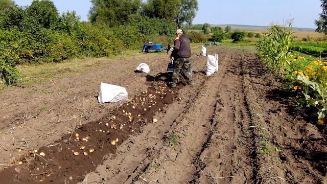 День-2-Сравнение ККМ-1 с самодельной копалкой типа Дельфин к мотоблоку НЕВА. смотреть онлайн