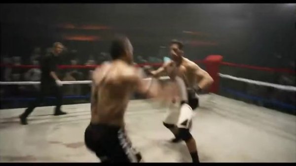 юрий бойко дерется