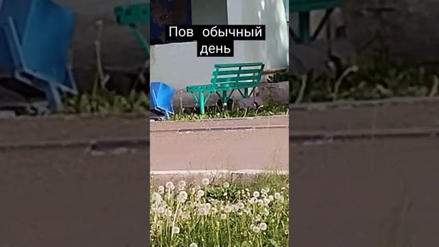 вот да чего даводит алкаголь смотреть онлайн